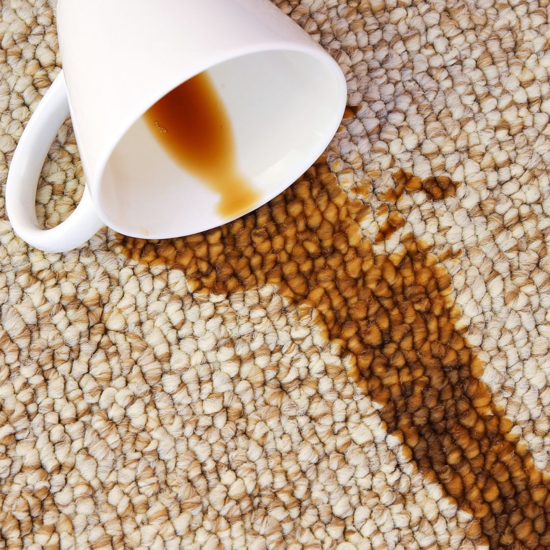 Tapis en laine nettoyé avec savon doux", "Séchage d’un tapis en laine au soleil