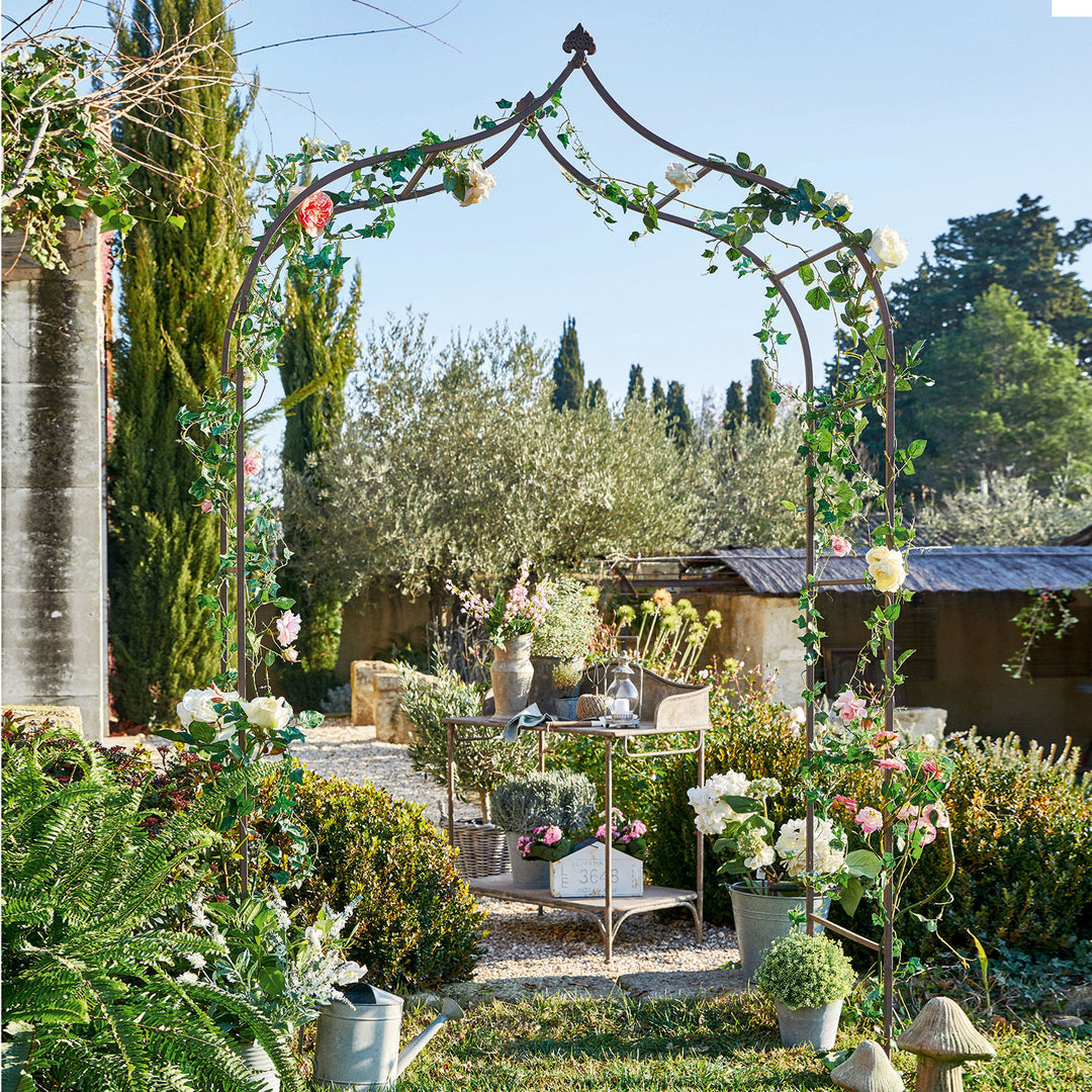 Arche à rosier LOBERON Dimarus — photo produit