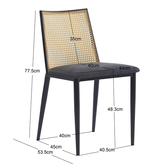 Lot de 2 chaises en métal et cannage avec assise en simili noir