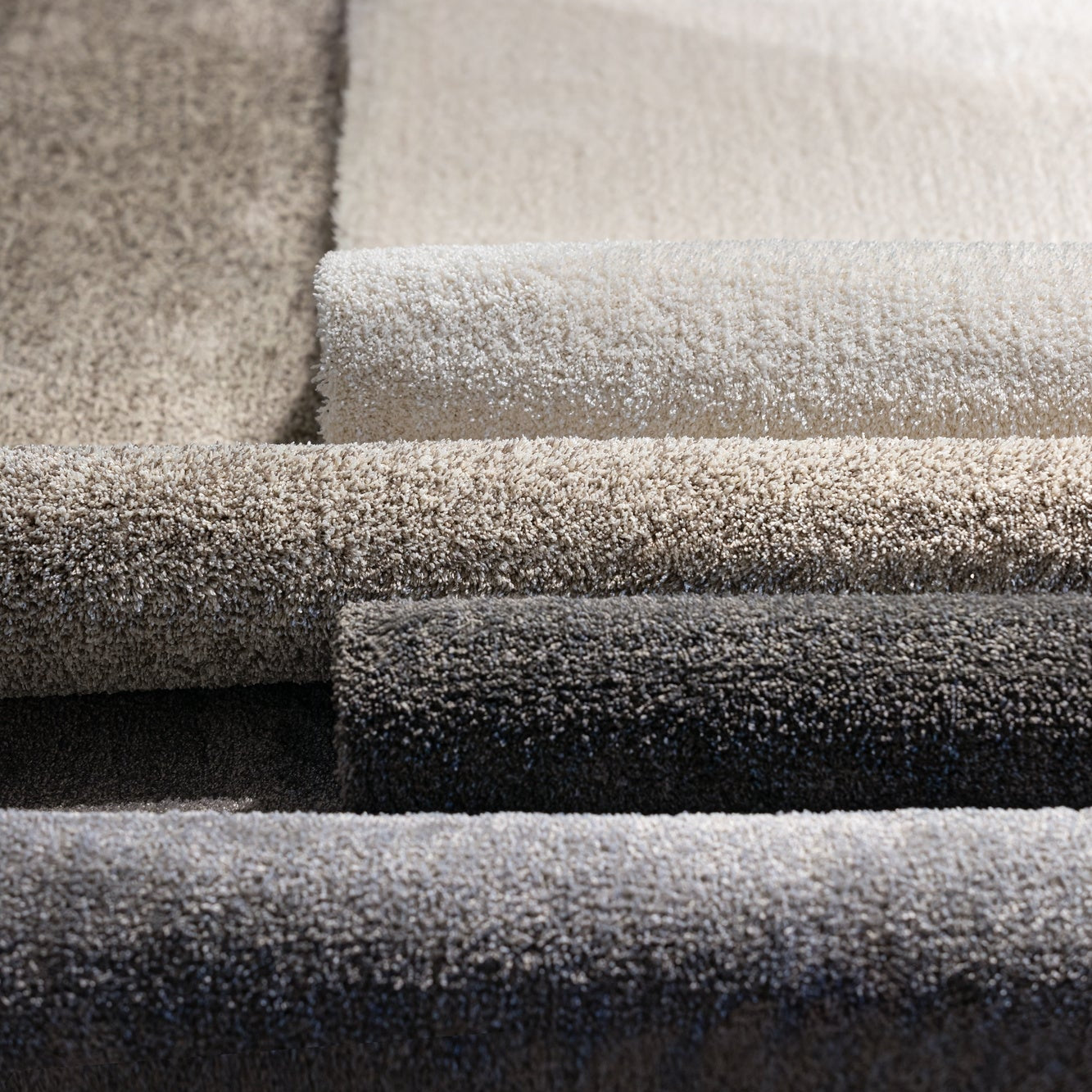 Tapis shaggy poils courts