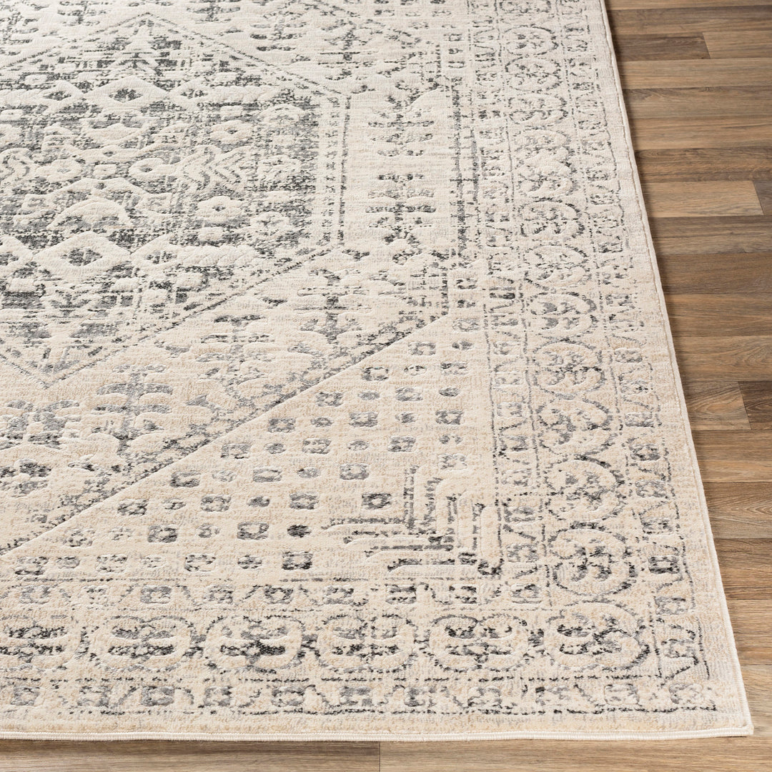 Tapis de Couloir Vintage Oriental Beige/Gris Nephi