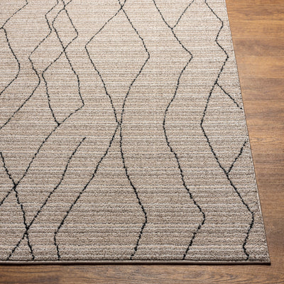 Tapis de Couloir Berbère Ethnique Gris/Beige Durban