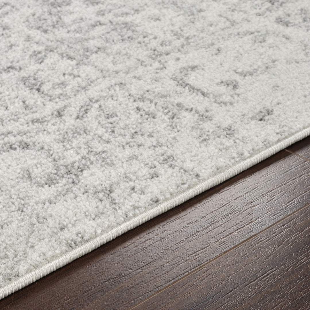 Tapis Vintage Oriental Gris/Blanc Syracusa