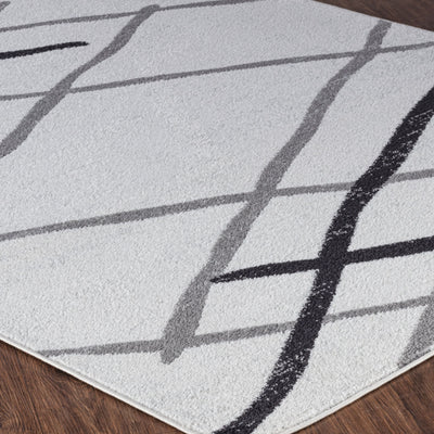 ASPEN Tapis Scandinave Moderne Blanc/Gris 160x220