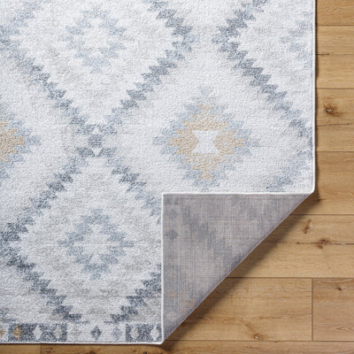 Tapis Scandinave Bohème Gris/Beige Bogor