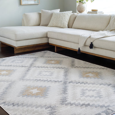 Tapis Scandinave Bohème Gris/Beige Bogor