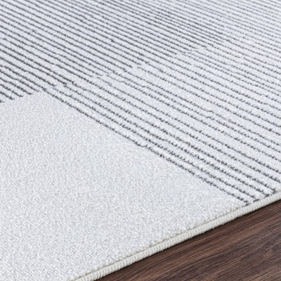 Tapis Scandinave Moderne Blanc/Gris Guna