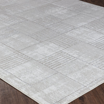 Tapis Scandinave Moderne Gris/Blanc Guri