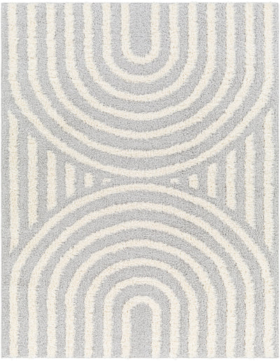 Tapis Shaggy Moderne Gris Clair/Blanc