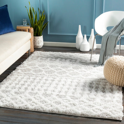 Tapis Shaggy Bohème Blanc/Gris Dubai